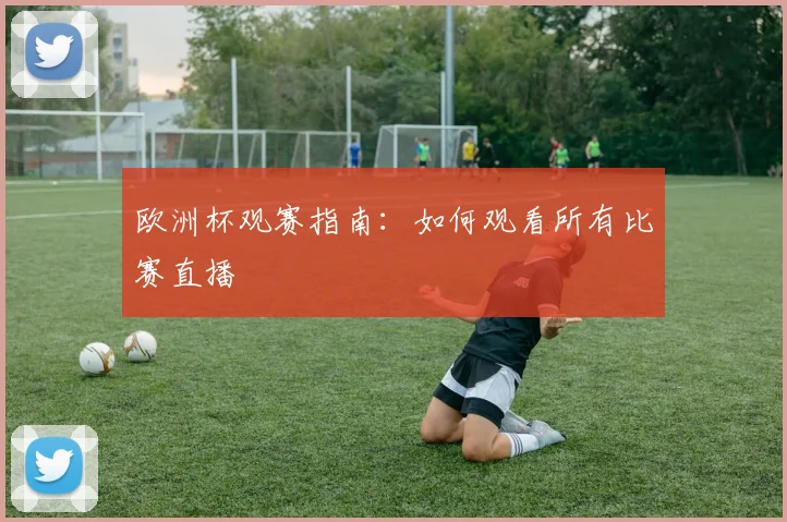 欧洲杯观赛指南:如何观看所有比赛直播