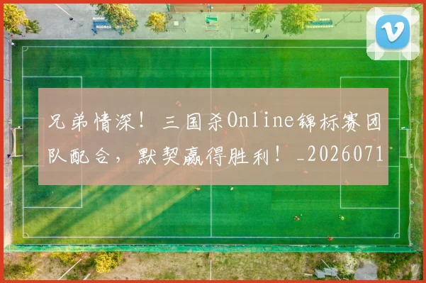 兄弟情深！三国杀Online锦标赛团队配合，默契赢得胜利！_20260718003751