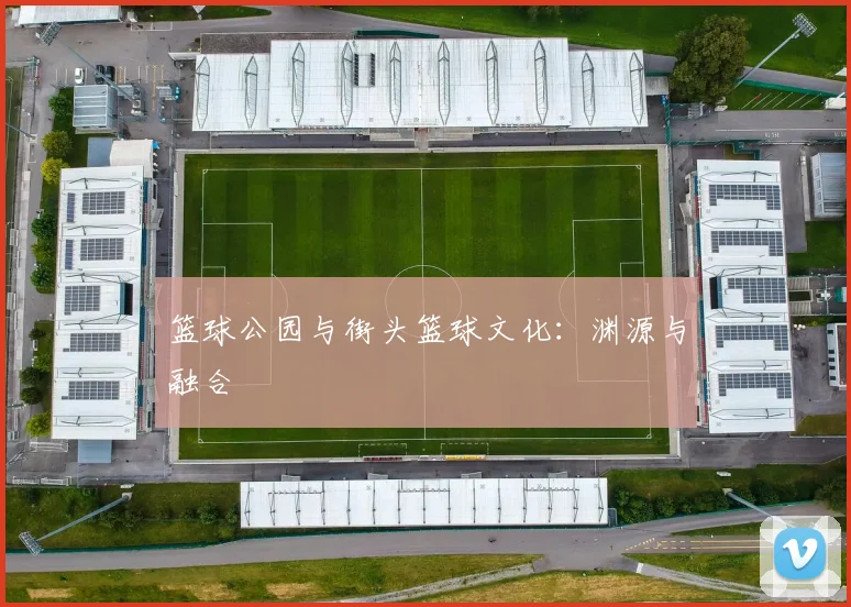 篮球公园与街头篮球文化：渊源与融合